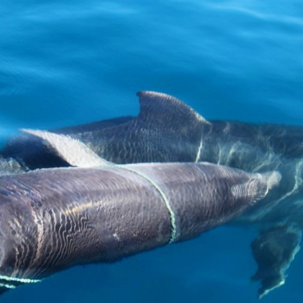 Une sortie pêche mémorable pour les résidents des EHPAD de Frontignan